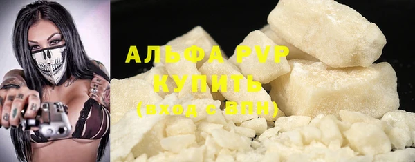 PSILOCYBIN Аркадак
