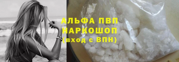 PSILOCYBIN Аркадак