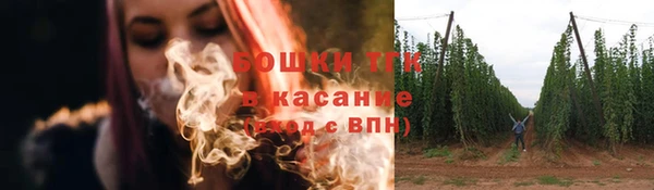 дмт Арсеньев