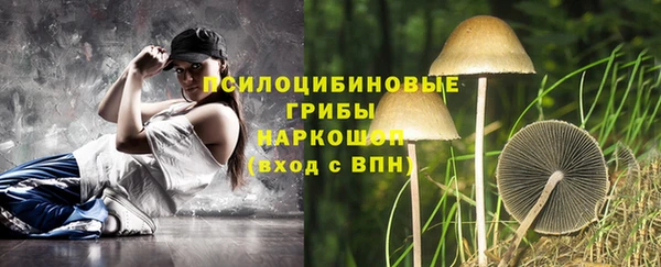 дмт Арсеньев
