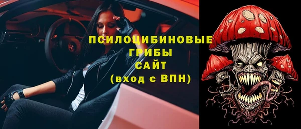 дмт Арсеньев