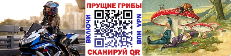 гидра онион  наркота  Чаплыгин  Галлюциногенные грибы MAGIC MUSHROOMS 
